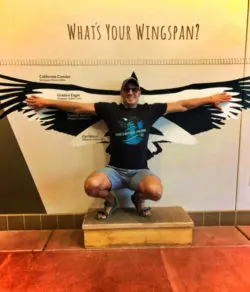 Taylor Family wingspan exhibit at High Desert Museum Bend Oregon 2