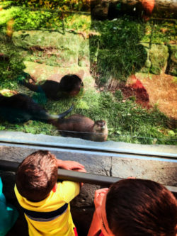 Taylor Family with River Otters at High Desert Museum Bend Oregon 1