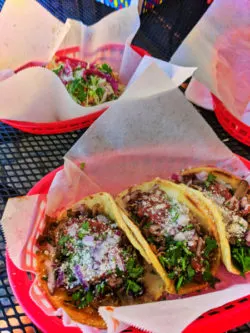 Blueberry Tritip tacos at Westside Taco Truck at Kobold Brewing Redmond Oregon 1