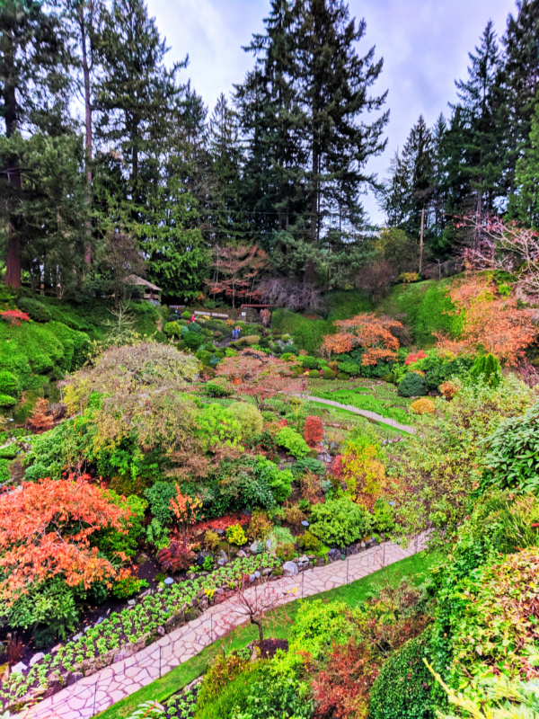 Fall Colors in Sunken Garden at Butchart Gardens Victoria BC 1