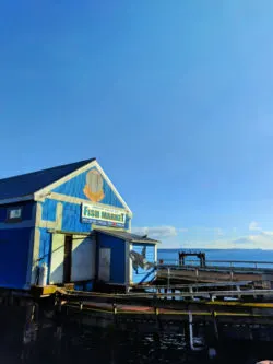 Fish market at waterfront Marina Sidney BC 1