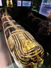 Mummy-Sarcophagus-in-Egyptology-exhibits-at-Royal-BC-Museum-Victoria-BC-2-169x225.jpg