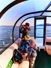 Taylor Family Ecocruising with Sidney Harbor Tours Sidney BC 2