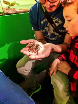 Taylor Family at Victoria Bug Zoo Victoria Canada 2