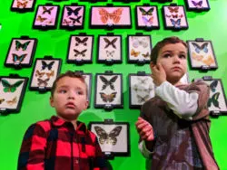 Taylor Family at Victoria Bug Zoo Victoria Canada 4