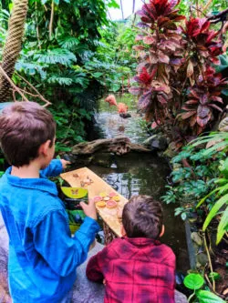 Taylor Family with butterfly chrysalis at Victoria Butterfly Gardens Victoria BC 4