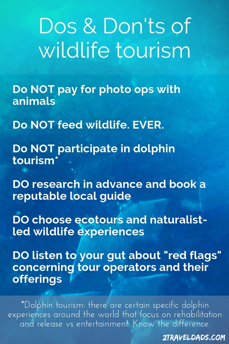 Wildlife tourism is amazing but choosing a responsible tour operator is important. These are the Dos and Don'ts of wildlife tourism.