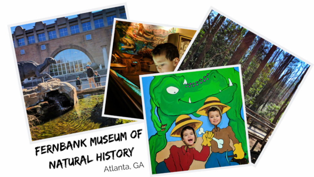 The Fernbank Museum of Natural History in Atlanta, Georgia is the perfect day trip with kids. Known as the dinosaur museum, it's full of dino exhibits, animal displays, and outdoor learning space.