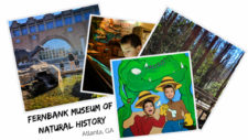 The Fernbank Museum of Natural History in Atlanta, Georgia is the perfect day trip with kids. Known as the dinosaur museum, it's full of dino exhibits, animal displays, and outdoor learning space.