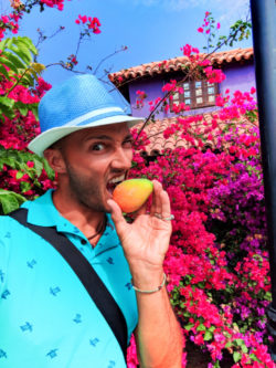 Rob Taylor with Ripe Mango and colorful bushes in Todos Santos Baja California Sur 2