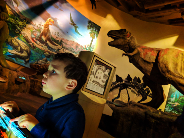 The Fernbank Museum of Natural History: Atlanta’s dinosaur museum