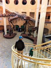 Taylor Family with Dinosaur skeleton at Fernbank Museum of Natural History Atlanta 1