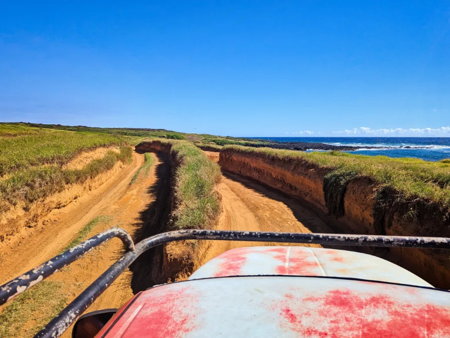 4x4 Truck Ruts at Papakōlea Green Sand Beach South Shore Big Island Hawaii 1