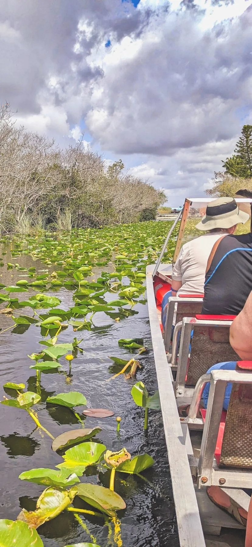 Airboat Ride in Everglades National Park Florida