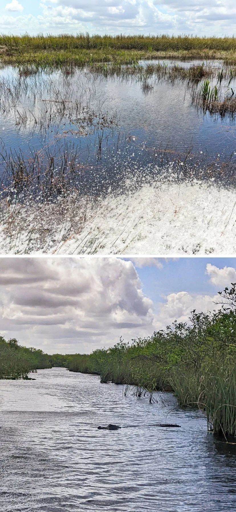 Airboat and Kayking in Everglades National Park Florida