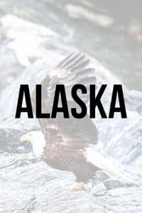 Alaska Button