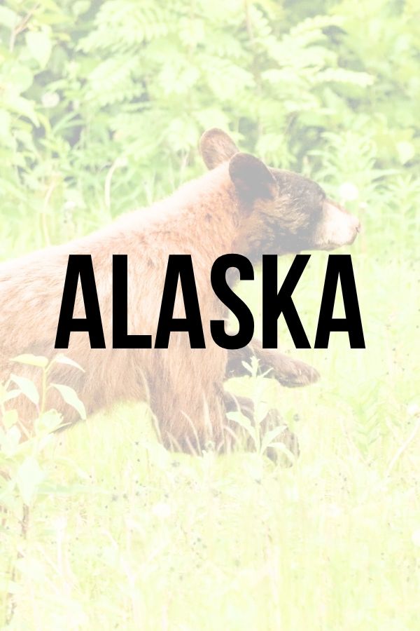 Alaska button