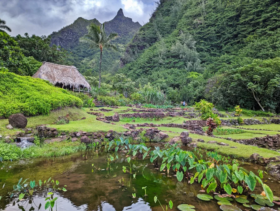 Ancient Terraces at Limahuli Garden Preserve North Shore Na Pali Coast Kauai Hawaii 5