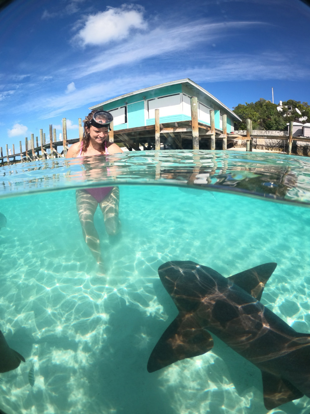 Angie swimming with Nurse Sharks in the Bahamas