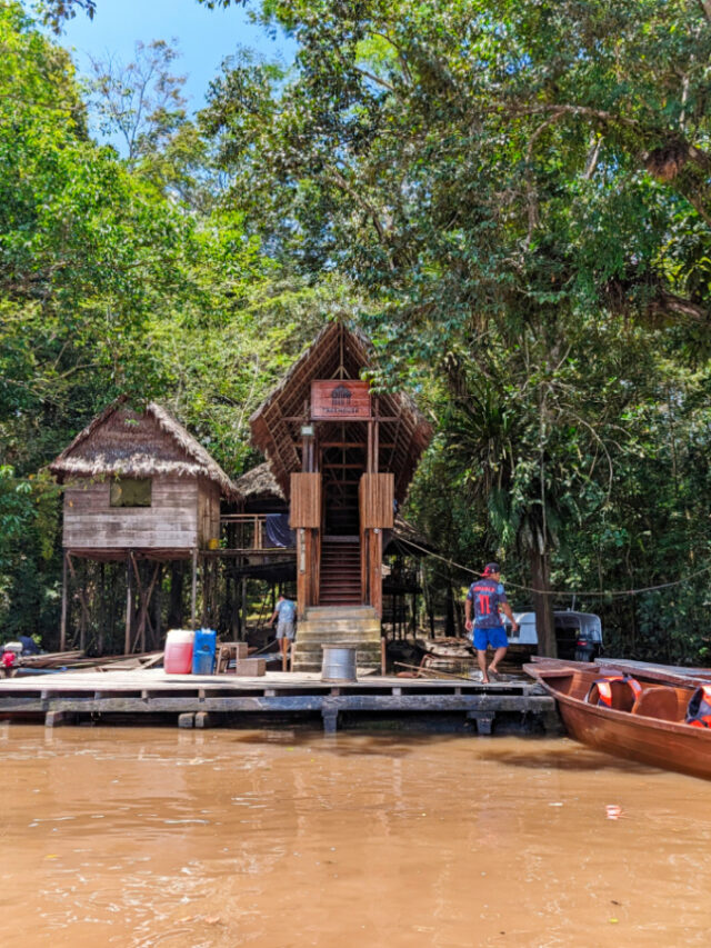 Arriving at Treehouse Lodge in Amazon Rainforest Peru 2