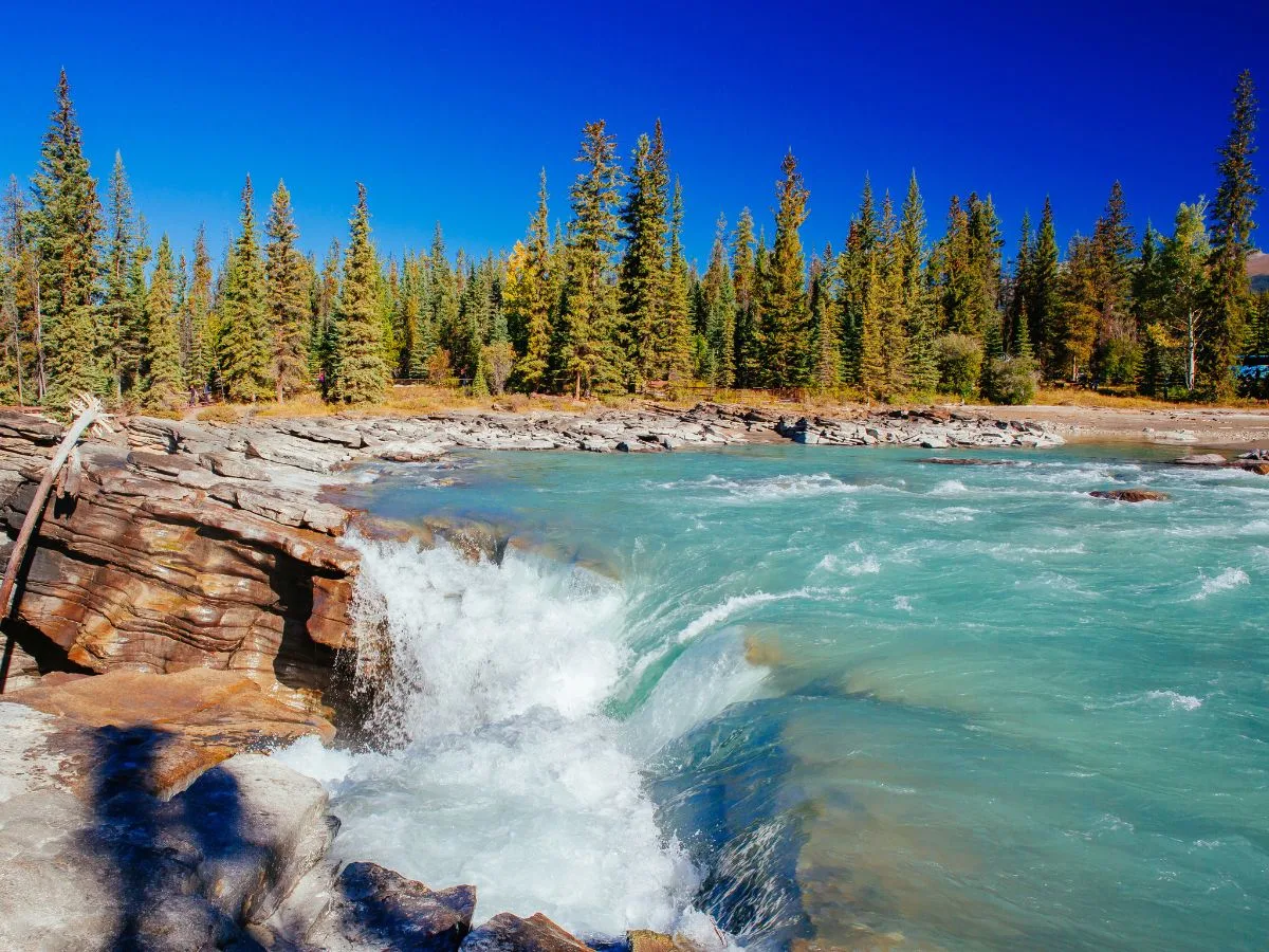 Athabasca Falls in Jasper National Park AB