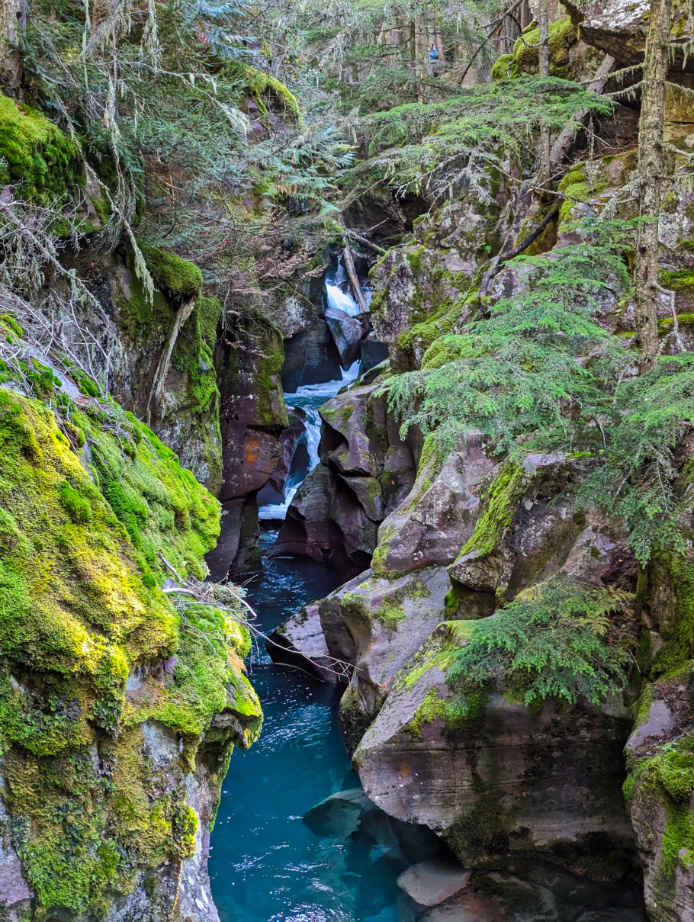 Avalanche Creek gorge in the forest in Glacier National Park Montana 4