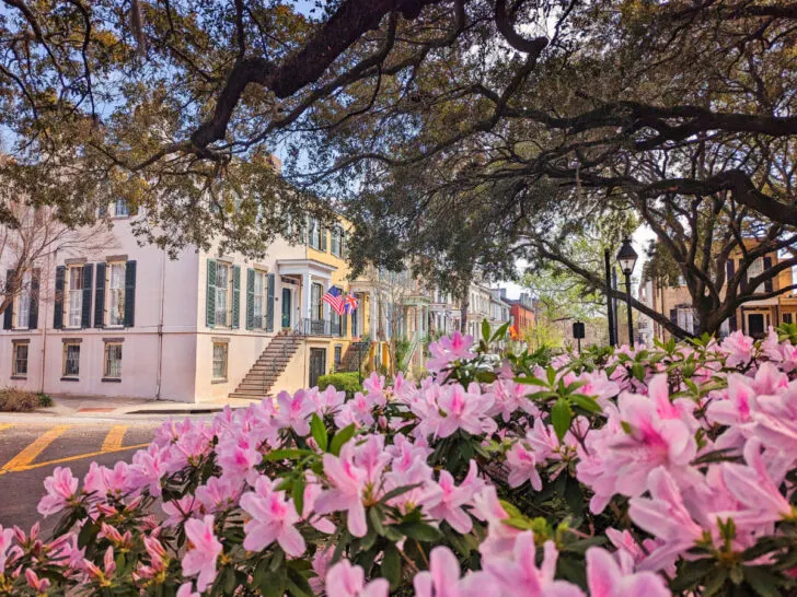 Best Squares in Savannah: the Most Beautiful and Iconic Parks to Visit