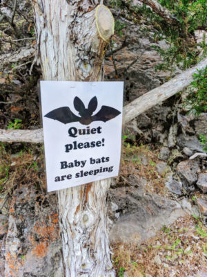 Baby Bat warning sign on path at Lewis and Clark Caverns State Park Montana 1
