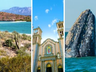 Baja-California-Norte-Road-Trip-320x240.jpg