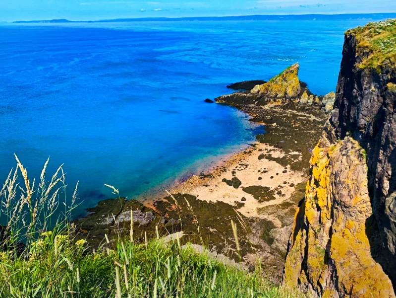 Bay of Fundy from Cape Split Trail Nova Scotia 1.png