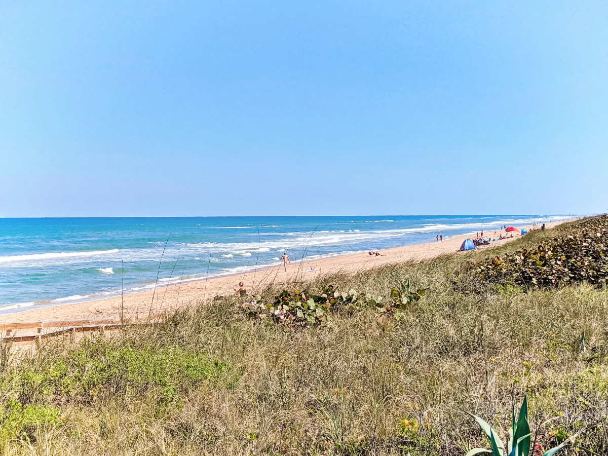 Beach 5 at Canaveral National Seashore New Smyrna Beach Florida 2