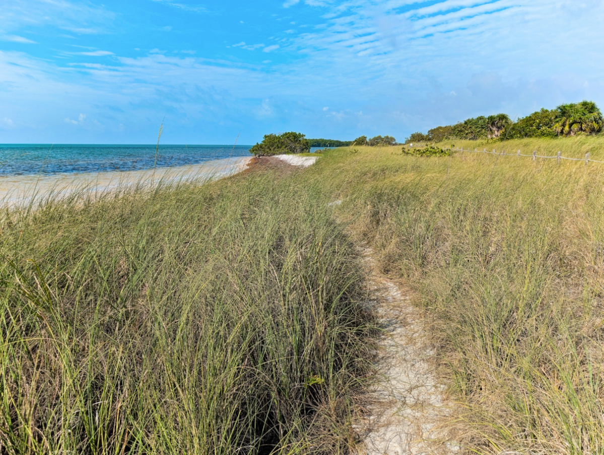 Beach Path at Curry Hammock State Park Marathon Florida Keys 1