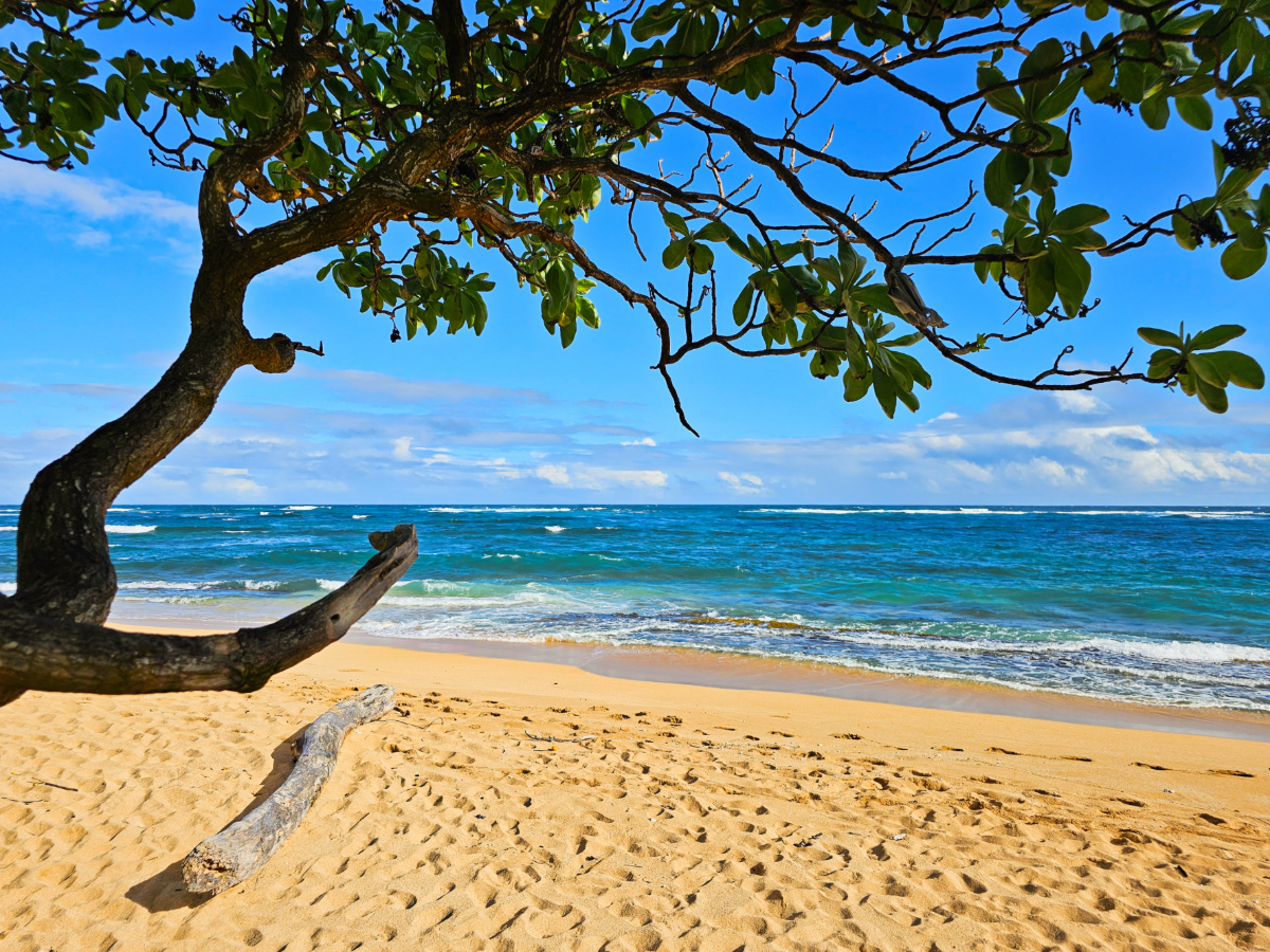 Beach at Kapaa Kauai Hawaii 1