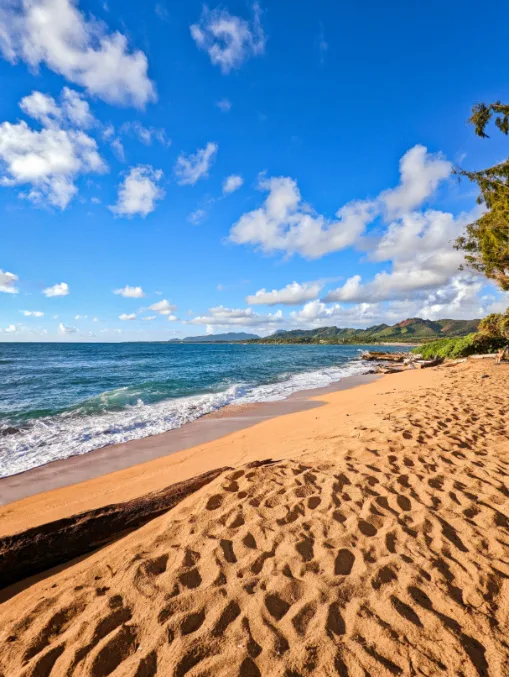 Beach at Kauai Shores Hotel Kapaa Kauai Hawaii 2