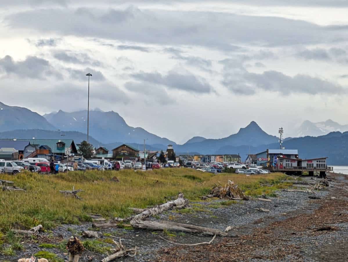Beach on Homer Spit Homer Alaska 2