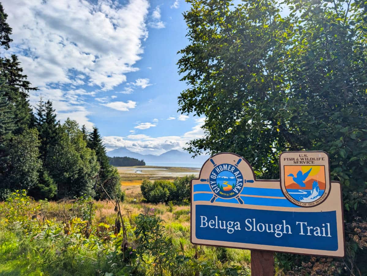 Beluga Slough Trail at Alaska Maritime National Wildlife Refuge in Homer Alaska 2