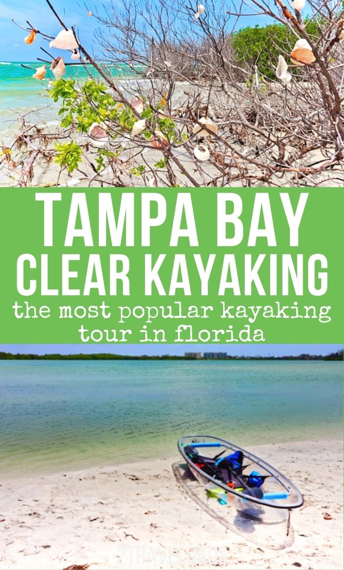 One of the most unique paddling experiences is clear kayaking, and in the Tampa Bay area the trip to the Shell Key Preserve is an incredible Florida adventure. See what to expect, what wildlife to watch for, and see that best tips for enjoying the clear kayak experience in Tampa Bay, Florida.