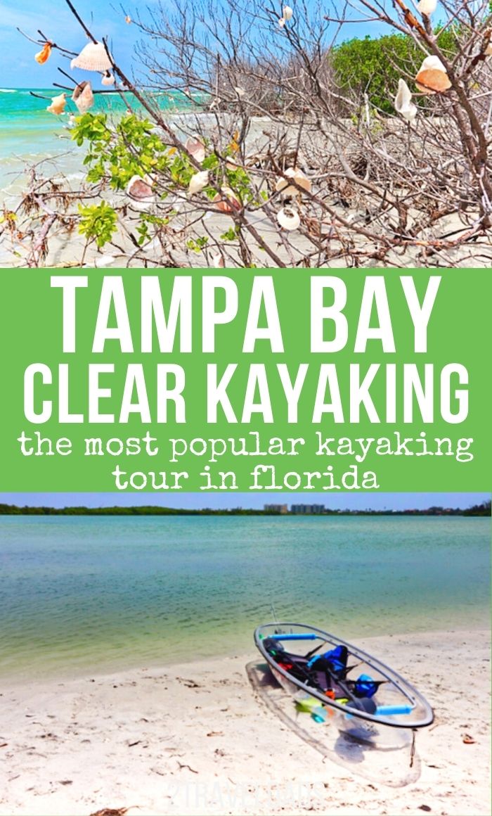 Tampa Travel Guide  Tampa Tourism - KAYAK