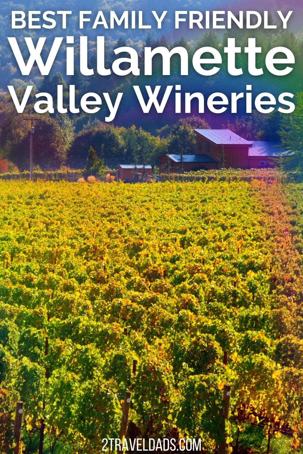 Best family friendly Willamette Valley wineries near Portland are easy to get to. Map of wineries and top picks for wine tasting when you're with kids in Oregon's premier wine region.