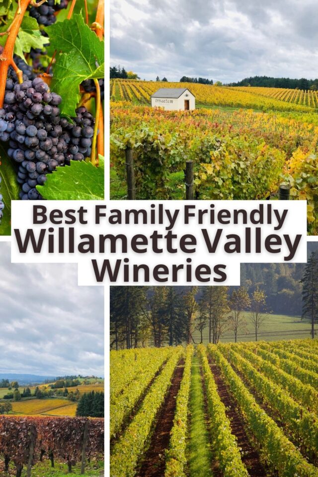 10 Best Family Friendly Willamette Valley Wineries Close to Portland
