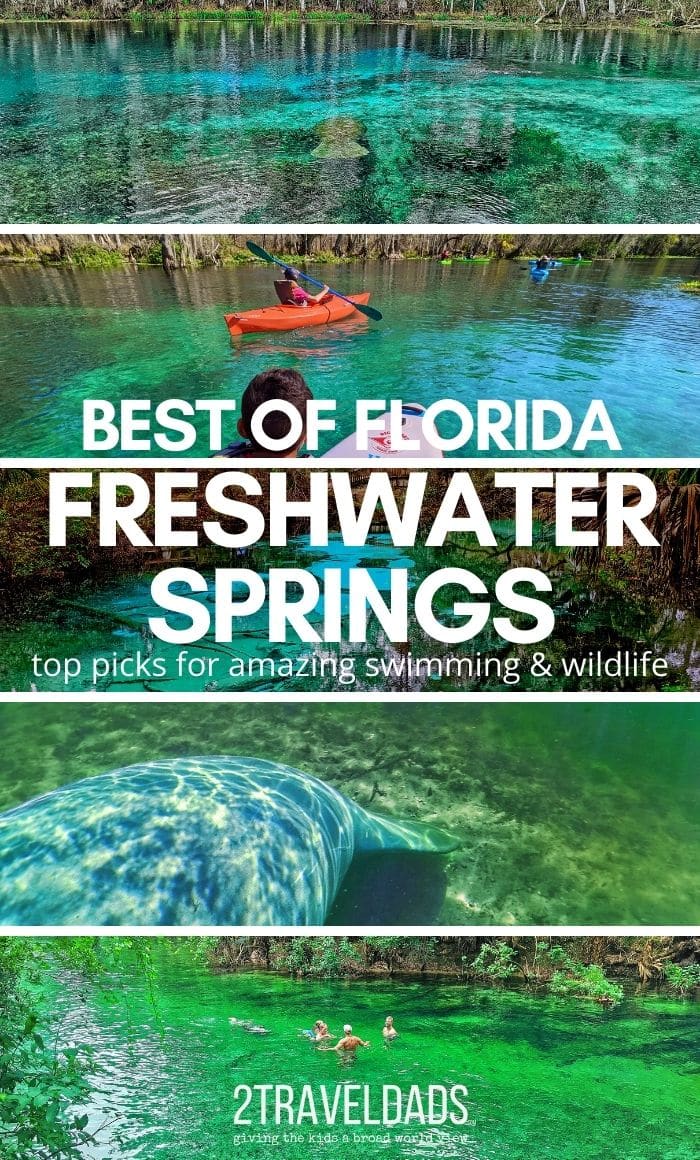 Florida's freshwater springs are relatively unknown and easy to visit. Our top picks for beautiful swimming spots and the best wildlife viewing in Florida.