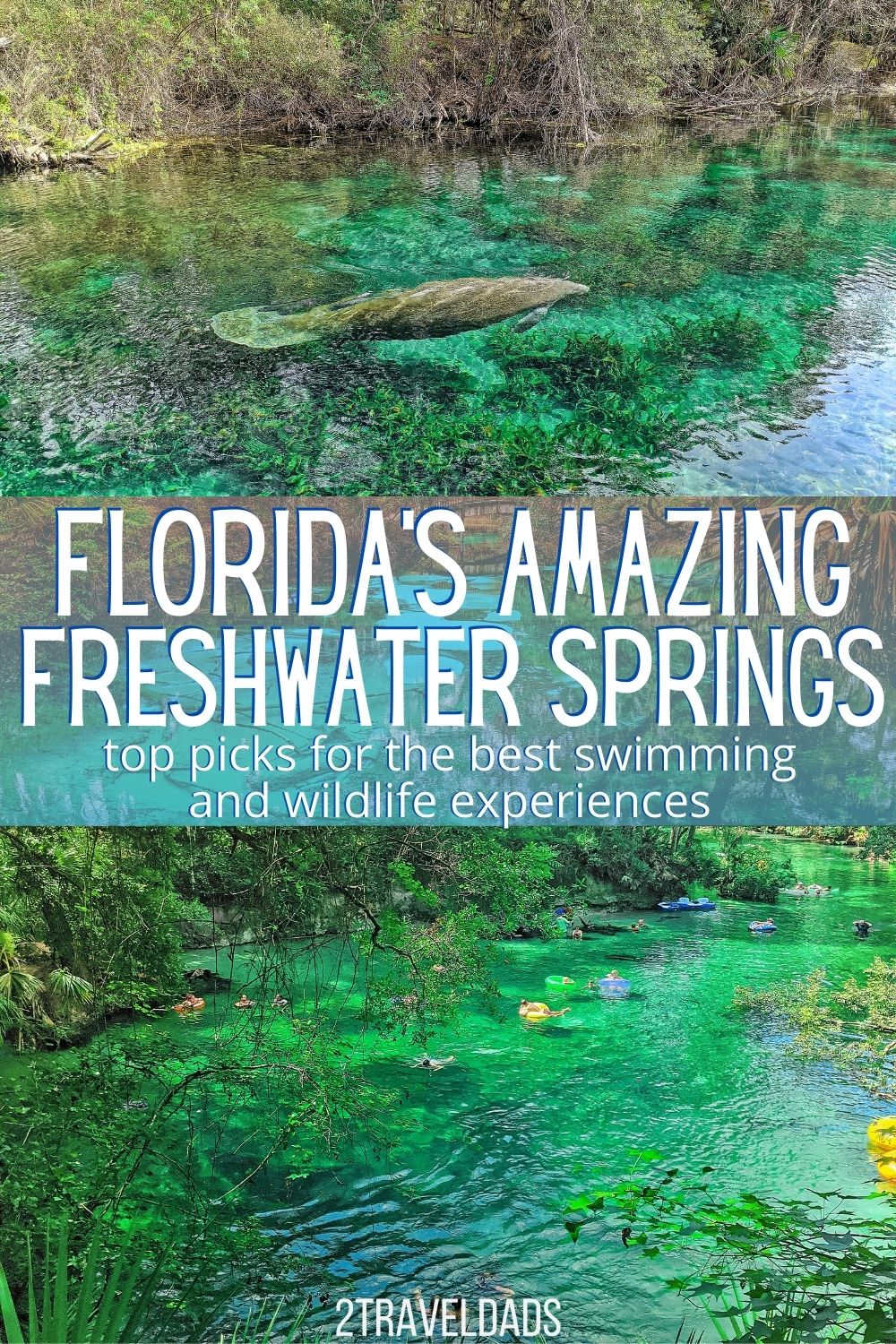 Florida's freshwater springs are relatively unknown and easy to visit. Our top picks for beautiful swimming spots and the best wildlife viewing in Florida.