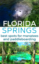 The many Florida springs are amazing. These are the best places for manatees, alligators and paddleboarding through Florida's jungles. #paddleboarding #SUP #Florida
