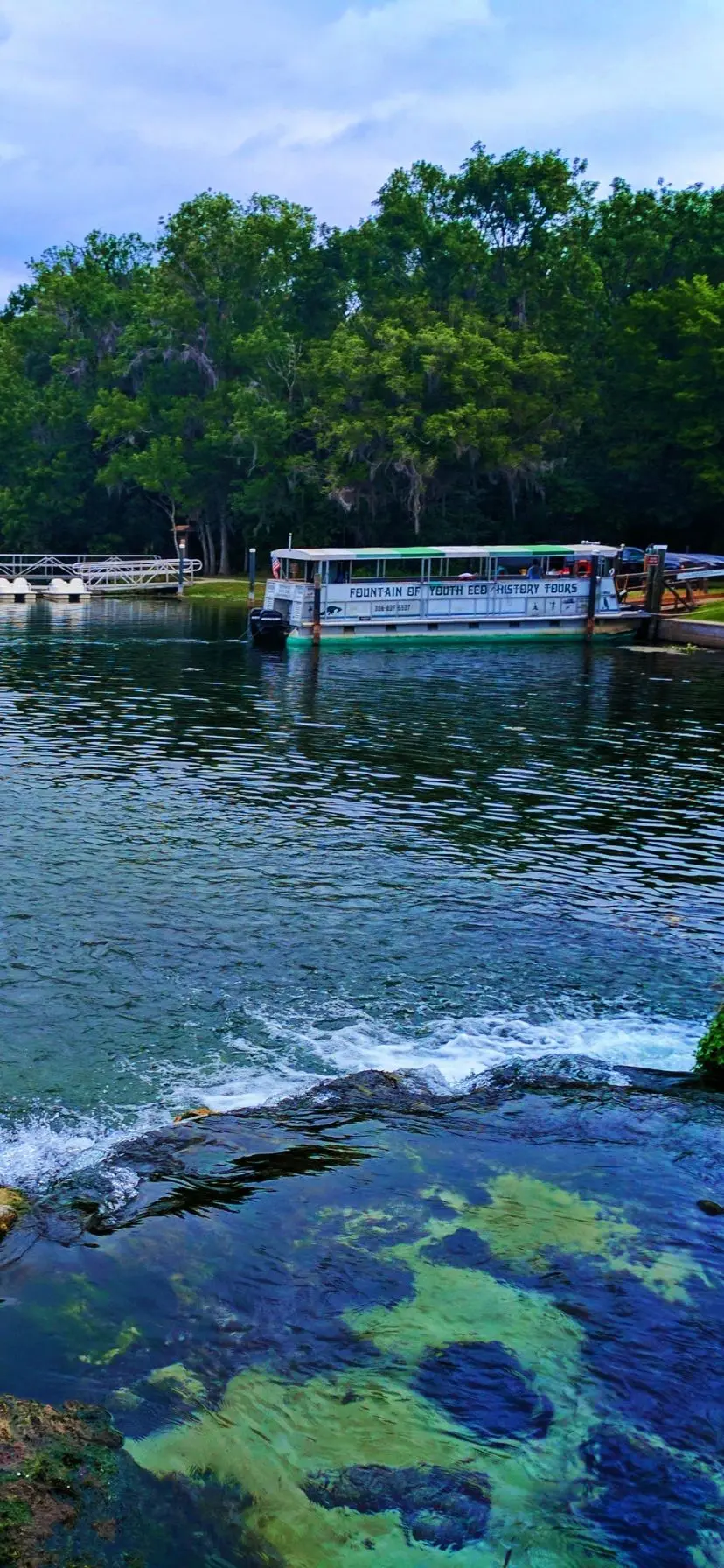 Best Florida Springs for Manatees Ecotour at De Leon Springs State Park