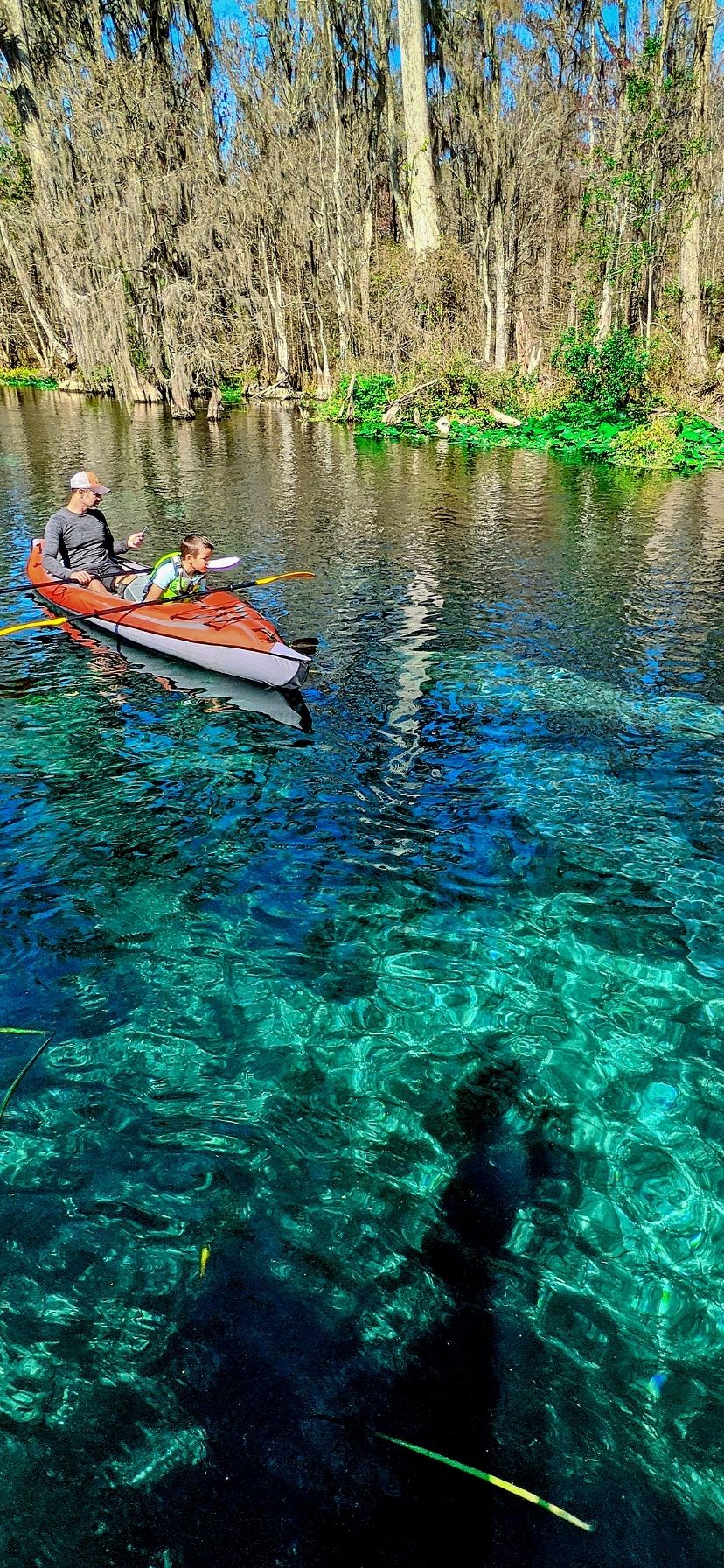 Best Florida Springs for Manatees Kayaking at Silver Springs State Park