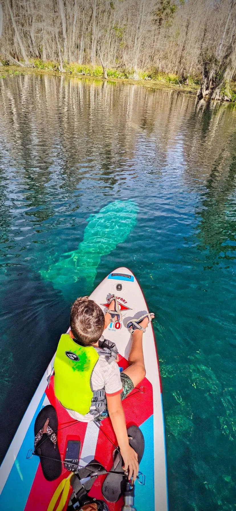 Best Florida Springs for Manatees SUP at Silver Springs State Park