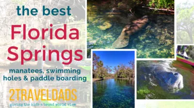 The many Florida springs are amazing. These are the best places for manatees, alligators and paddleboarding through Florida's jungles. #paddleboarding #SUP #Florida