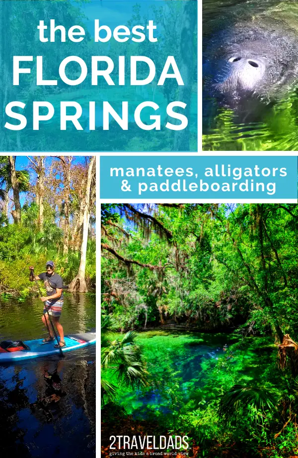 The many Florida springs are amazing. These are the best places for manatees, alligators and paddleboarding through Florida's jungles. #paddleboarding #SUP #Florida