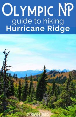 Hiking Hurricane Ridge: one of the best day trips to the Olympic Peninsula. Trails rated from easiest to most difficult, awesome Olympic NP views and nature. Tips for visiting Hurricane Ridge any time of year.