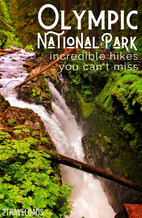 Best fall hikes olympic national park best sale